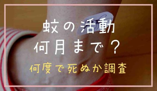 蚊がいなくなる気温や活動は何月まで？何度で死ぬか調査