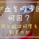 蚊が血を吸う回数は？同じ蚊は何度も刺すの？