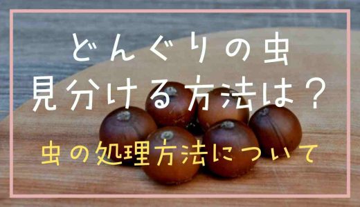 どんぐりに虫がいるか見分け方は？虫の処理方法について