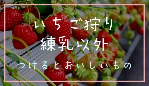 いちご狩りで練乳以外につけたらおいしいものは？持っていく前の注意点も