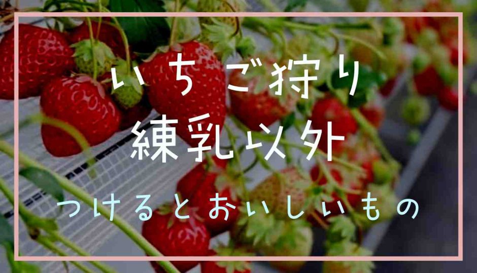 いちご狩りで練乳以外につけると美味しいもの