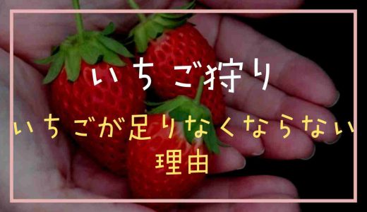 いちご狩りのいちごはなぜなくならないの？理由を調べてみた