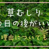 草むしり雨の日の後がいい？理由についても