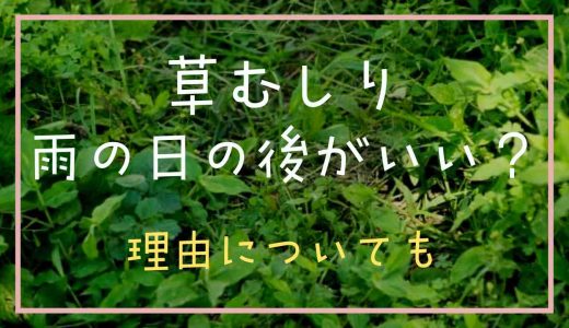 草むしりは雨の日の後がいいって本当？