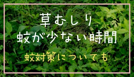 草むしりで蚊が少ない時間帯はある？草むしりの蚊対策を調査