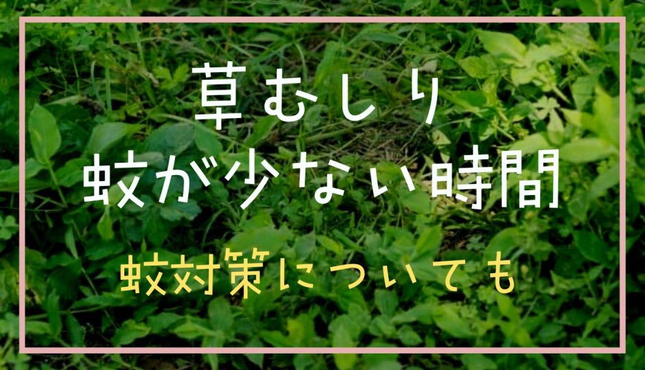 草むしりで蚊が少ない時間は？