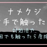 ナメクジを素手で触ったら？一回でも危険なのか調査