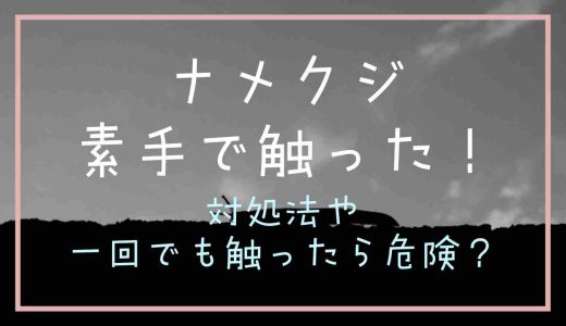 ナメクジを素手で触ったときの対処法は？一回でも危険なのか調査