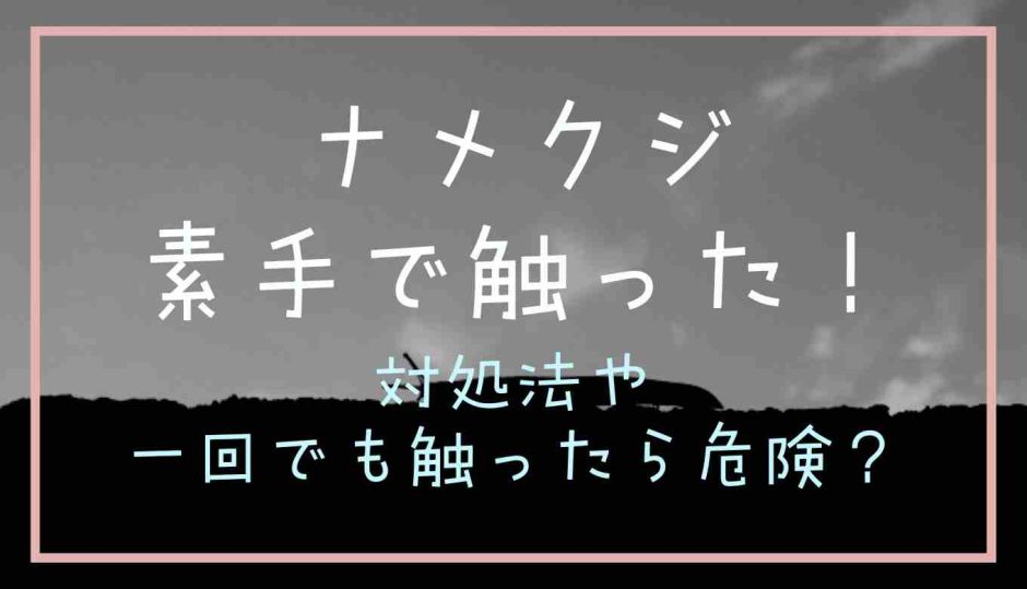 ナメクジを素手で触ったら？一回でも危険なのか調査