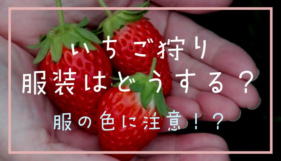 いちご狩り服装はどうする？ワンピースや服の色に注意！？