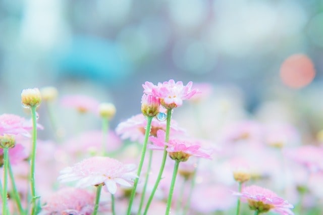 梅雨明け