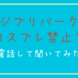 ジブリパークはコスプレ禁止？電話して聞いてみた