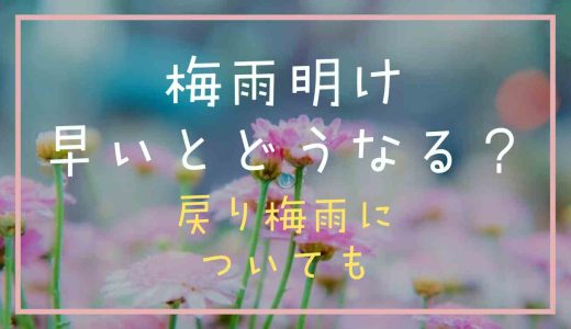 梅雨明けが早いとどうなる？戻り梅雨についても