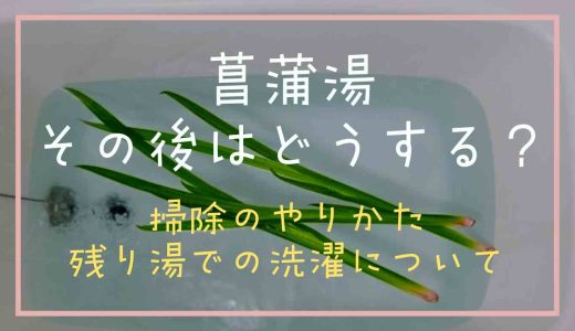 菖蒲湯のその後はどうする？掃除のやり方や残り湯は洗濯に使う方法