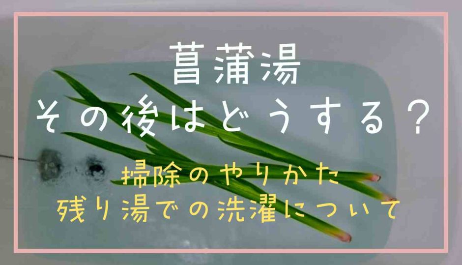 菖蒲湯その後はどうする？掃除や残り湯で洗濯についても