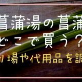 菖蒲湯の菖蒲はどこで買う？