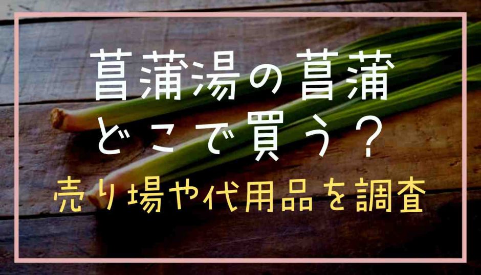 菖蒲湯の菖蒲はどこで買う？