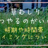 草むしりはいつやるのがいい？時期や時間帯とタイミングについて