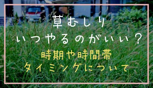 草むしりはいつやるのがいい？時期や時間帯のタイミングについて