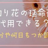 切り花の延命剤は代用できる？成分や何日もつか調査