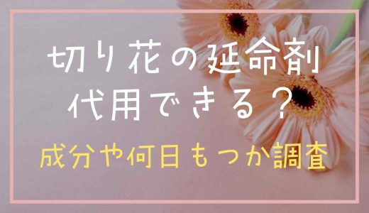 切り花の延命剤は代用できる？成分や何日持つか調査