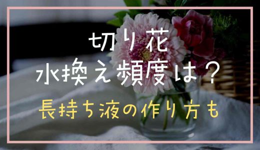 切り花の水換え頻度はどのくらい？長持ち液の手作り方法についても