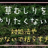 草むしりをやりたくない！対処法や抜かないで枯らす方法