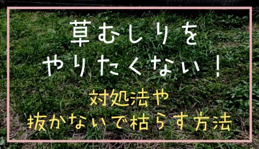 草むしりをやりたくないときの対処法は？抜かないで枯らす方法