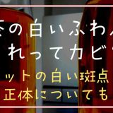 麦茶の白いふわふわってカビ？ポットの白い斑点の正体についても