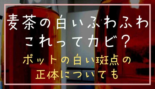 麦茶の白いふわふわってカビ？ポットの白い斑点の正体も調査