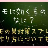 クモに効くものはなに？