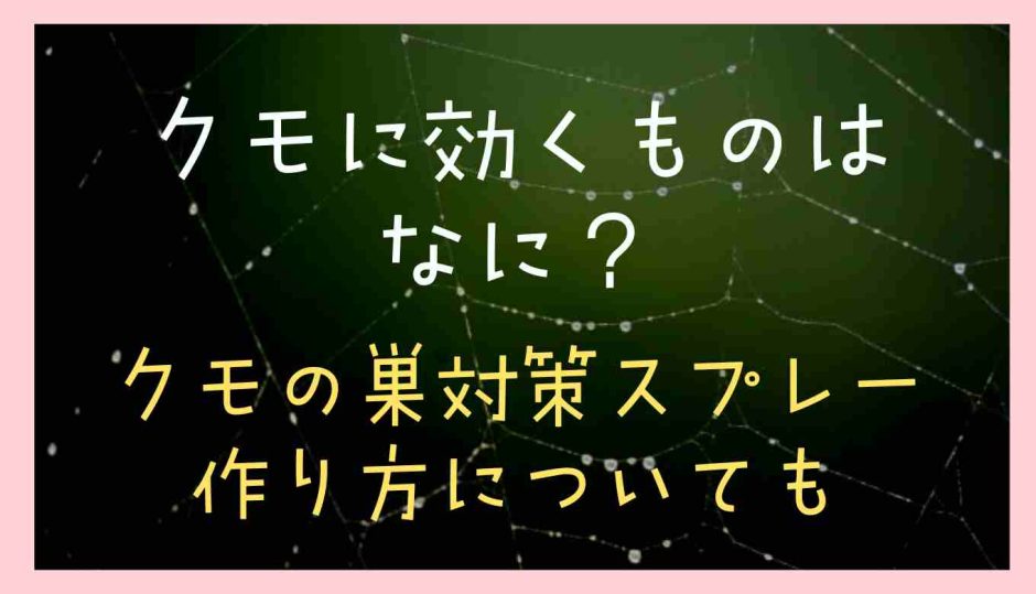 クモに効くものはなに？