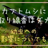 カブトムシに蚊取り線香はダメ？