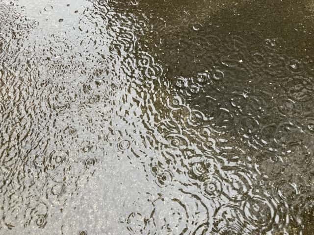 雨