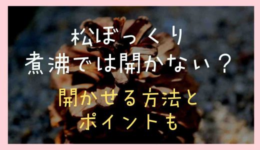 松ぼっくりは煮沸では開かない？開かせる方法とポイント