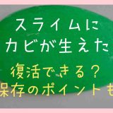 スライムにカビが生えたら復活できる？