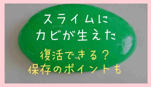 スライムにカビが生えたら復活できる？捨て方や保存のポイント