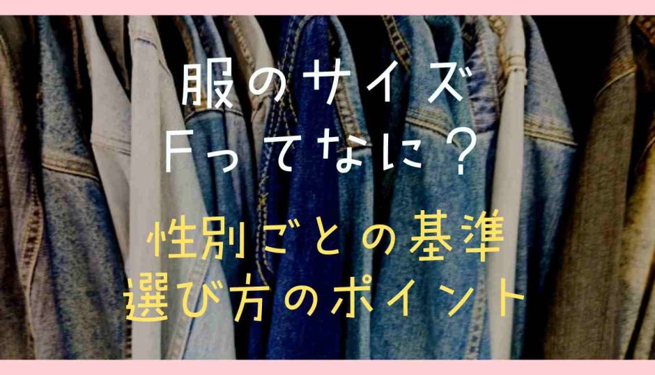 服のサイズFってなに？