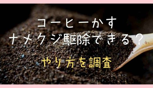 コーヒーかすを庭にまくとナメクジ駆除できる？やり方を調査