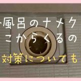 お風呂のナメクジはどこからくるの？対策についても