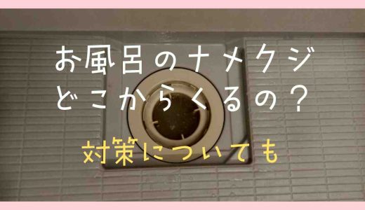 お風呂場のナメクジはどこからくるの？対策についても