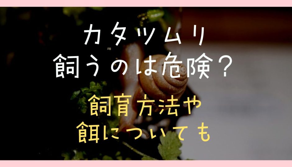 カタツムリ飼うのは危険？