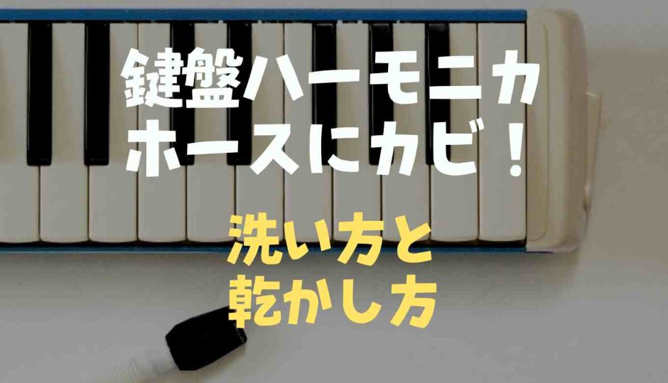 鍵盤ハーモニカのホースにカビ！洗い方と乾かし方